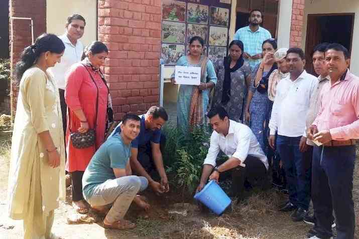 श्रम विभाग द्वारा कार्यालय परिसर में वृक्षारोपण कार्यक्रम आयोजित