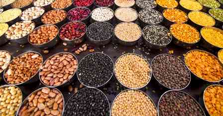 Procurement of pulses, oilseeds at over 100 centres, says Haryana Chief Secretary