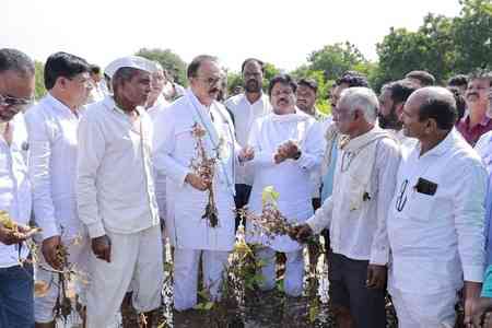 Maharashtra: Pay Rs 50,000 per hectare to flood affected farmers before Dussehra, demands Cong