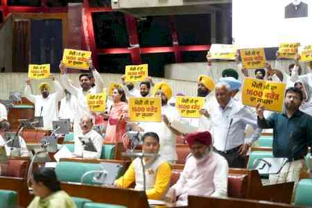 Centre 'paying lip service towards flood-hit people', says Punjab AAP legislators 