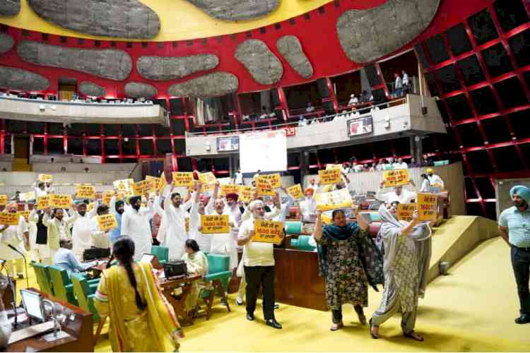 Punjab Govt Stages Assembly Protest, Calls Centre’s ₹1,600 Cr Relief Package a ‘Jumla’, Says Not a Single Rupee Received