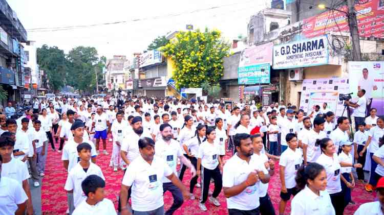 700 take part in 5 km run