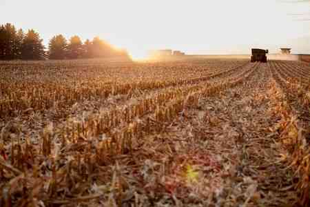 Haryana reports three cases of stubble burning, govt takes tough measures
