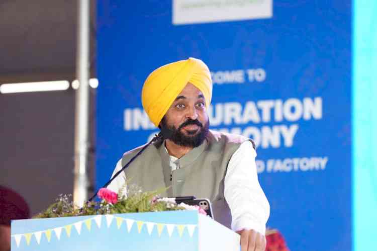 CM envisions Punjab as next business hub of country 