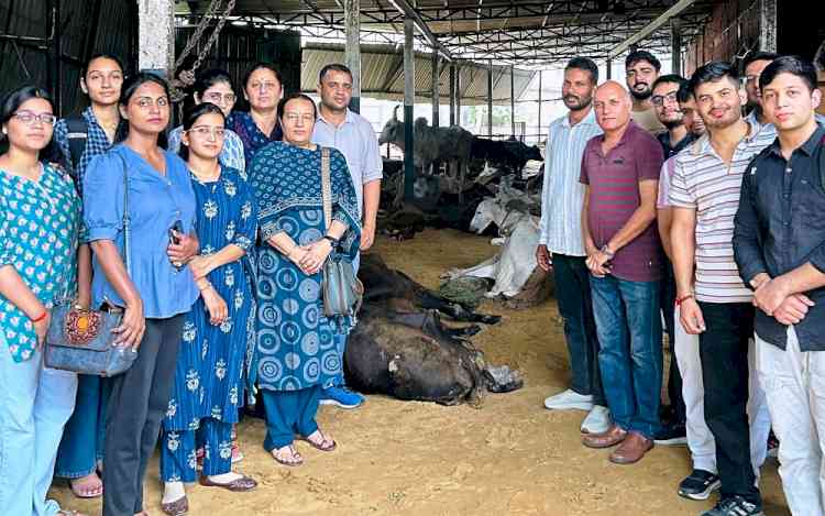 दुर्गाष्टमी पर विद्यार्थियों ने गायों के लिए चारा आदि भेंट किया