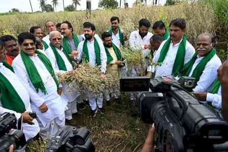 Conduct immediate crop damage survey, provide compensation: Karnataka BJP to Siddaramaiah govt 