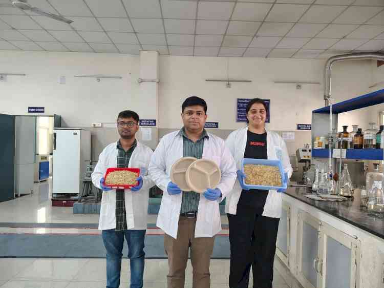 From Soil to Soil (Mitti se Mitti Tak) - IIT Roorkee’s Innovation in Eco-Friendly Tableware from Wheat Straw