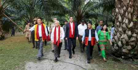 Arunachal targets 35,723 hectares under oil palm cultivation by 2025-26: Governor