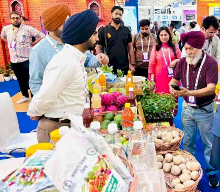 Mann Government's Remarkable Change: Food Processing Boosts Farmers' Income and Creates New Employment Opportunities in Punjab