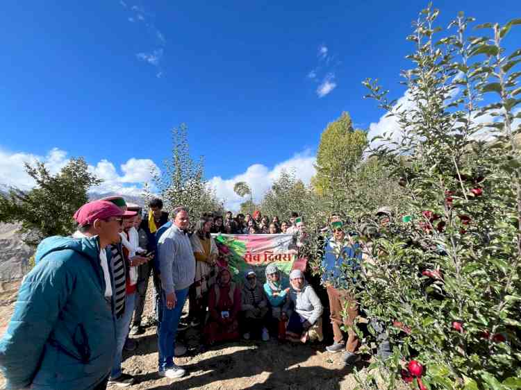 High-Density Orchard Success at 12,000 ft showcased in Kinnaur