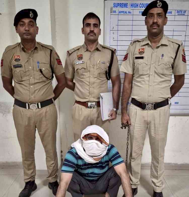 सांपला निवासी युवक की हत्या में शामिल आरोपी काबू