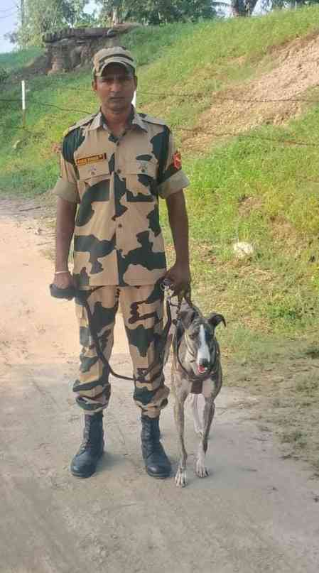 BSF to showcase 1st-ever Indian breed dog contingent at Ekta Diwas Parade in Gujarat