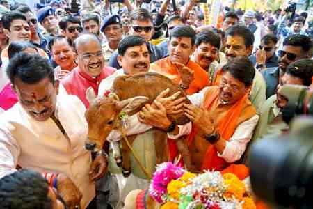 Cows always prefer to live among humans: MP CM on Govardhan Puja