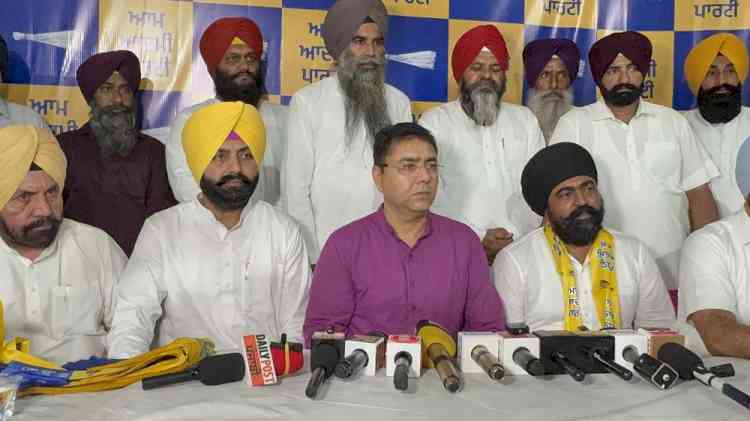 Congress Leader and Independent Candidate Harpal Singh Joins Aam Aadmi Party in Tarn Taran, Extends Support to AAP Candidate Harmeet Singh Sandhu