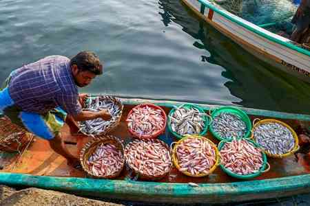 Union MoS George Kurian urges fisheries workers to register under NFDP