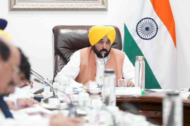 Punjab witnesses record decline in incidents of paddy straw burning till now: CM