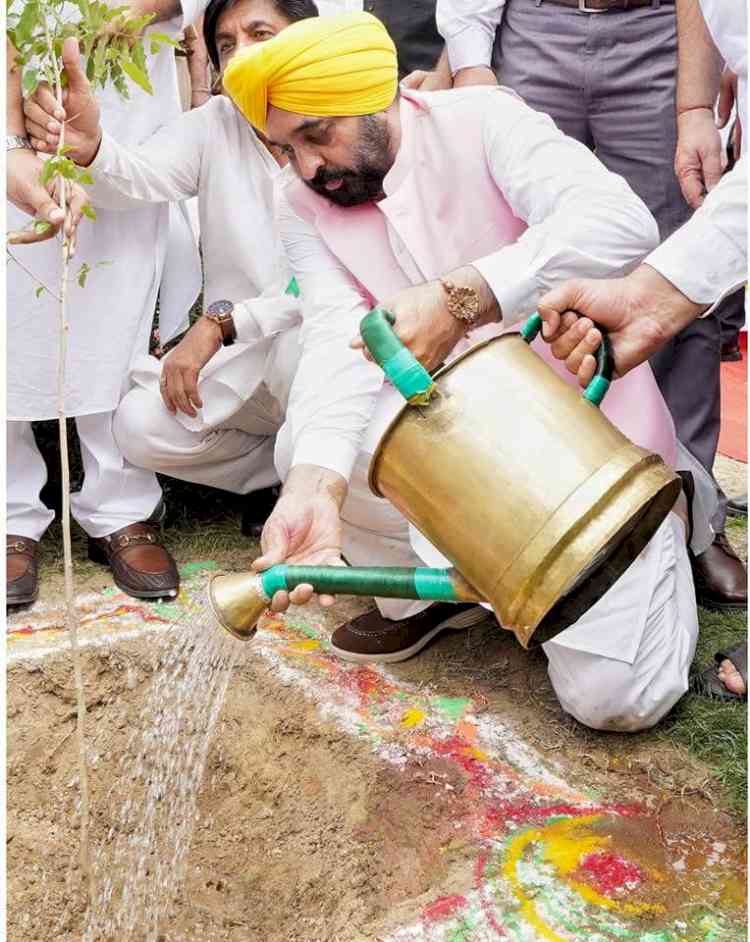 Reining in 20 years of negligence by previous governments, AAP Government expands Punjab’s tree cover by 177.22 sq km