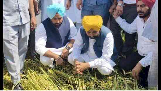 From Offices to Fields: How Punjab’s Chief Minister is redefining Farmer-Centric Governance, Problems being solved immediately