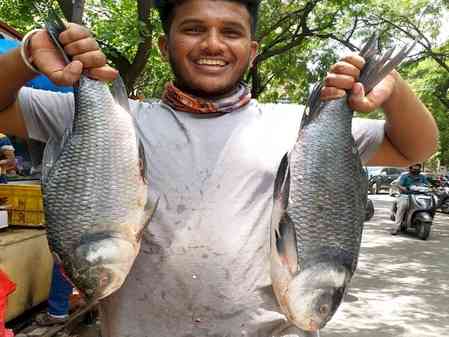 Punjab government declares Rohu as state fish