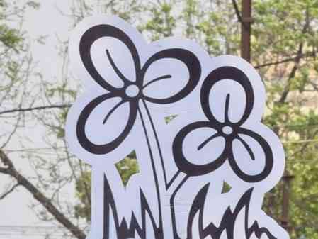 Trinamool plans mega anti-SIR rally in Kolkata on day one of 1st stage of revision exercise