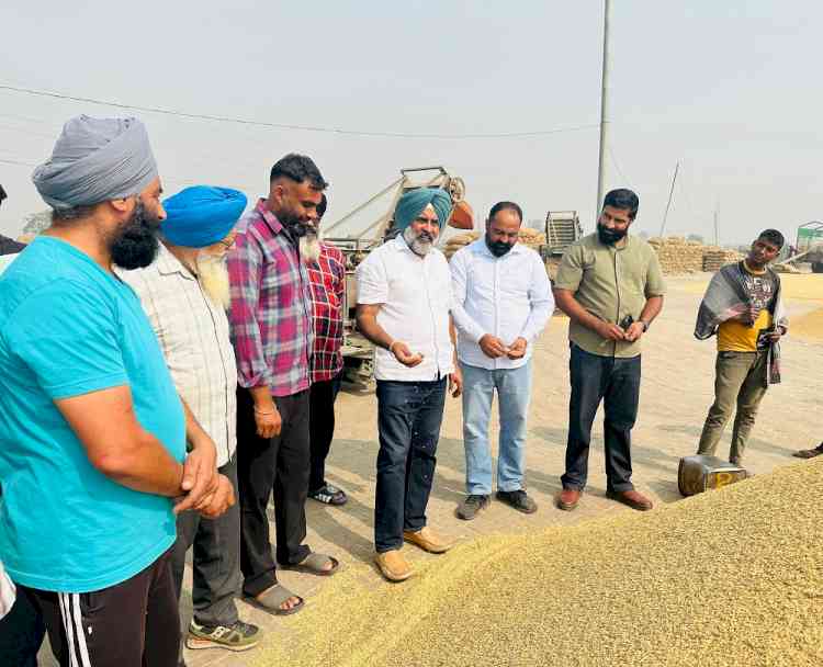 Farmers not receiving fair procurement prices in mandis; AAP government fails to compensate affected cultivators: Pargat Singh