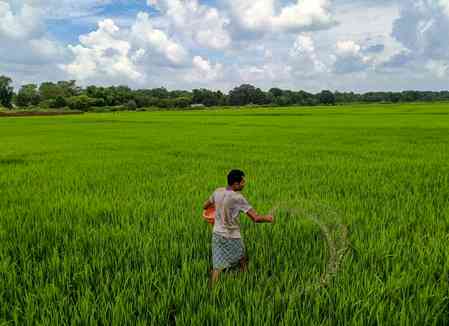 Have strong urea buffer stock to supply farmers in Rabi season: Govt