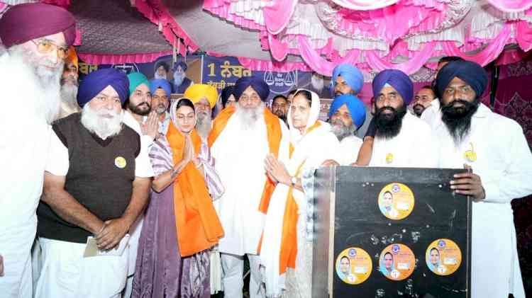 Congress attacked Akal Takht, AAP now breaking SGPC on Delhi's orders - Badal