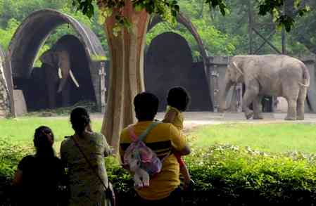 Delhi zoo to reopen tomorrow after 2-month closure due to infection