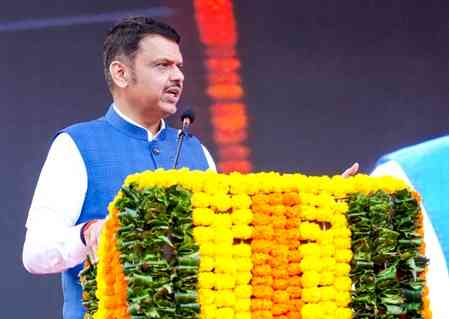 Fadnavis, Gadkari, Piyush Goyal top star campaigners’ list for Maha local body polls