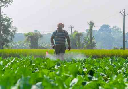 Centre cracks down on black marketing, hoarding of fertilisers during peak agri season