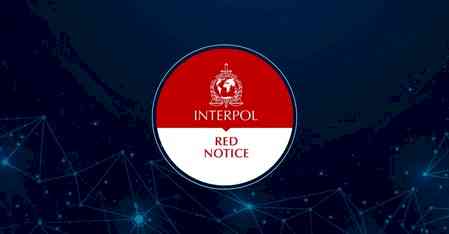J&K Police approaches Interpol for Red Corner Notice against Kashmiri doctor involved in terror module