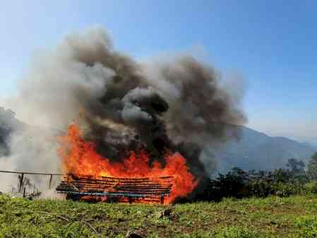 Security forces destroy poppy farms in Manipur, thwart opium production attempt 