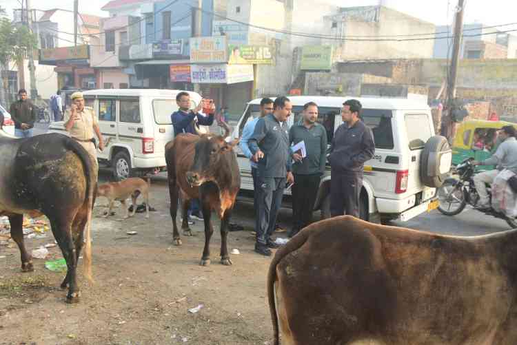जनभागीदारी से रोहतक को बनाया जा रहा स्वच्छ एवं सुंदरः उपायुक्त सचिन गुप्ता