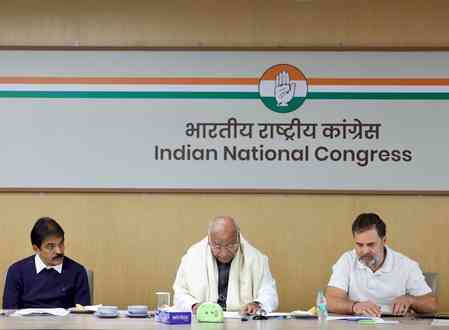 Congress strengthens legal and human rights wing with new appointments