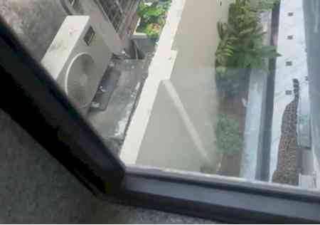 Leopard tranquilised after two-hour chase in Jaipur’s Civil Lines area