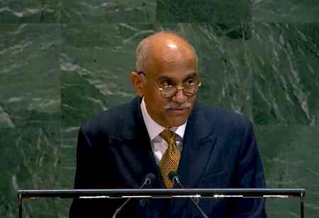 Veto powers at UNSC need reform, but de facto veto blocking changes must go first: India