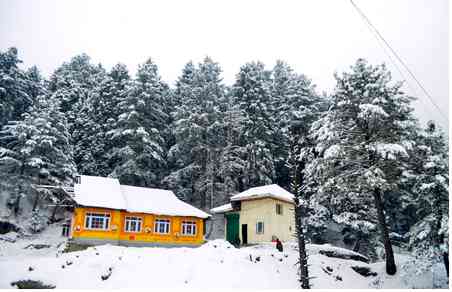 J&K: At minus 2.8 degrees Celsius, Srinagar witnesses coldest night of season