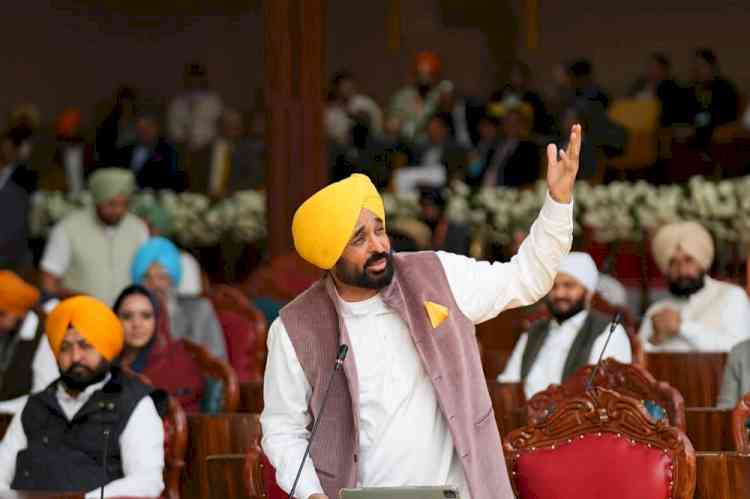 Punjab Assembly Declares Three Cities with Takht Sahibs as Holy Cities, Ban on Sale of Alcohol and Meat