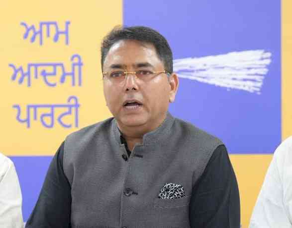 AAP Punjab President Aman Arora Extends Heartiest Congratulations on AAP’s Foundation Day