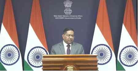 India supports all efforts aimed at bringing lasting peace: MEA on Russia-Ukraine plan