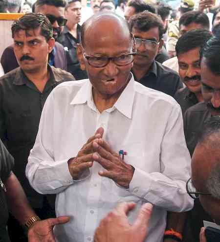 Sharad Pawar slams MahaYuti partners for ‘money-centric’ campaigning in local body polls