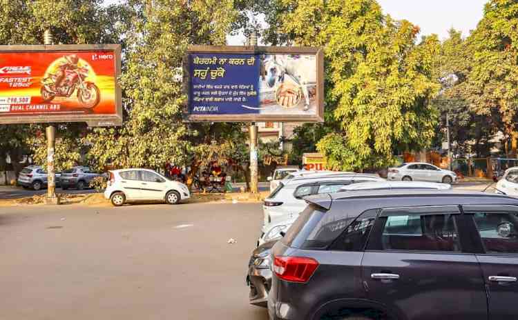 ‘Take a Vow Against Cruelty’: PETA India’s Billboard Campaign Calls for Horse-Free Weddings