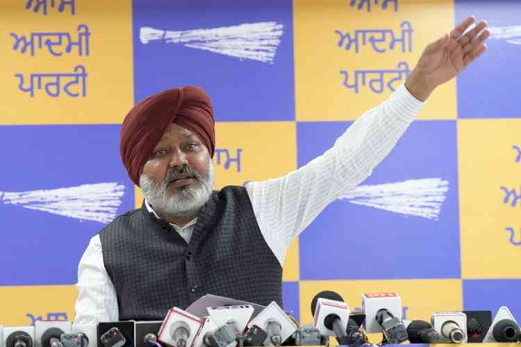 ‘Captain-Badals Nexus': A 20-year 'match-fixing' deal to loot Punjab: Harpal Singh Cheema