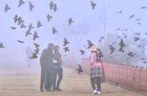 Cold wave alert in Rajasthan; temperatures drop below 10 degrees Celsius in several cities