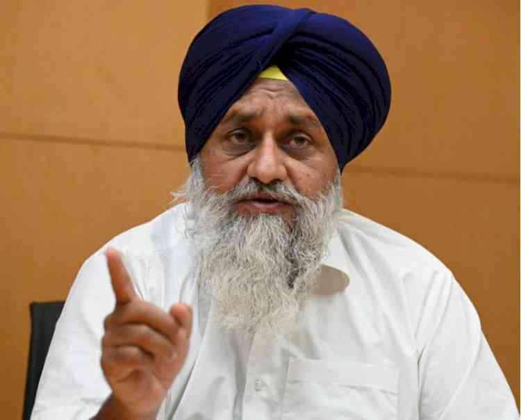 While previous leaders spent public money on trips to London, Canada, and Dubai, CM Mann is bringing jobs from Japan