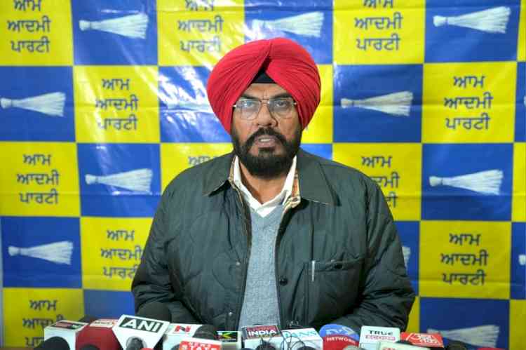 Strong Public Support for Mann Government’s Development Model in Local Elections: Kuldeep Dhaliwal