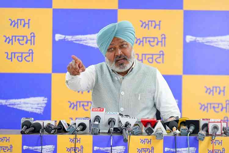 Congress should put up a 'menu board' showing rates for posts: Harpal Singh Cheema