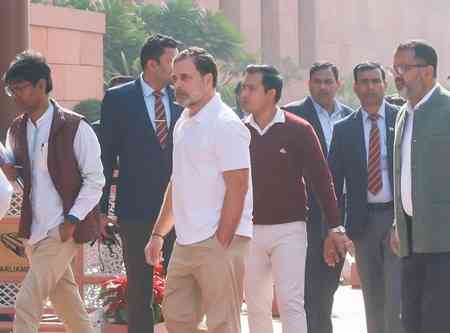 'He was very nervous, his hands were trembling': Rahul Gandhi on Amit Shah's LS speech