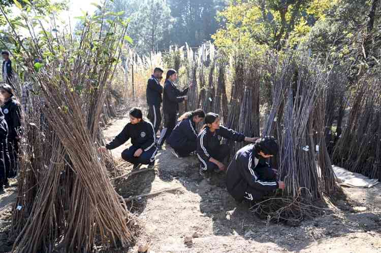 Nauni varsity to hold sale of fruit plants from 15 Dec