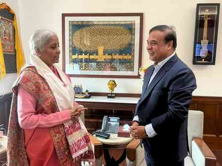 Assam CM meets FM Sitharaman, discusses key issues of development